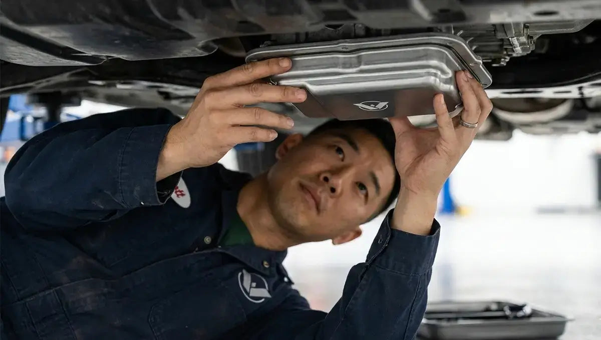 Filter Replacement